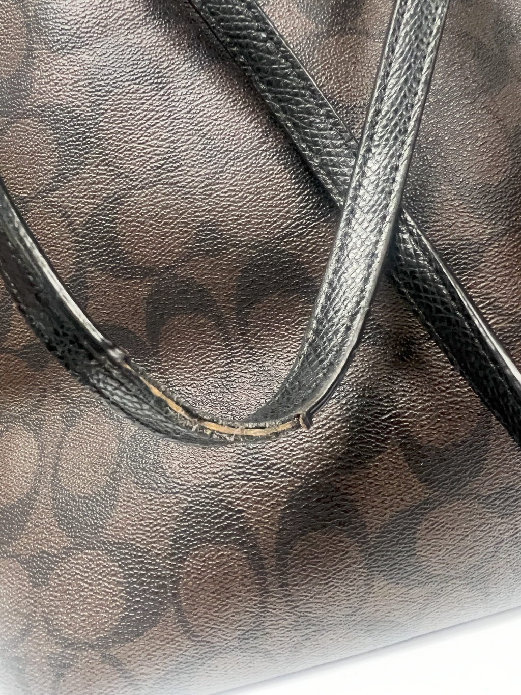 Coach Signature Street Zip Tote (F34104)