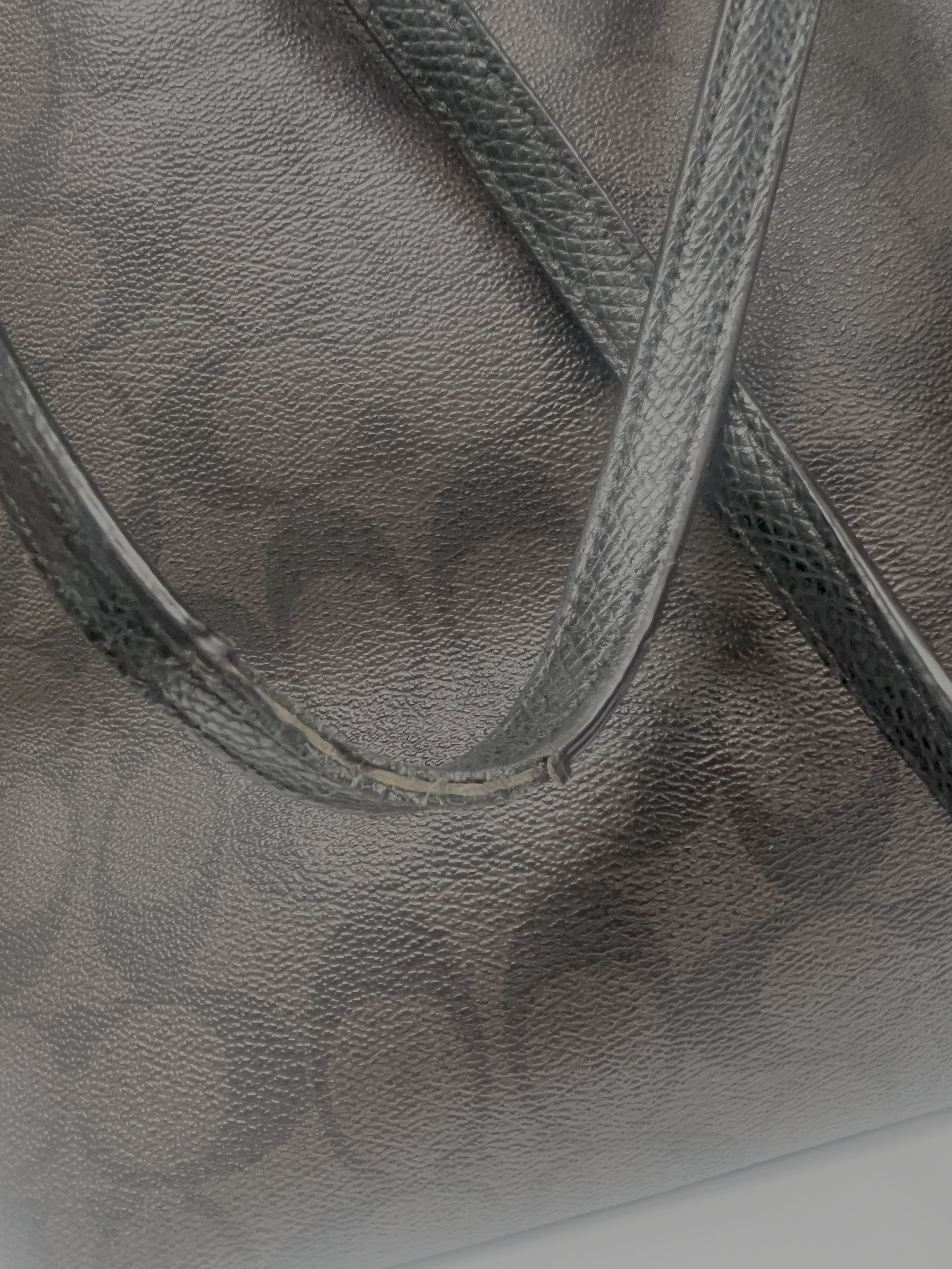 Coach Signature Street Zip Tote (F34104)