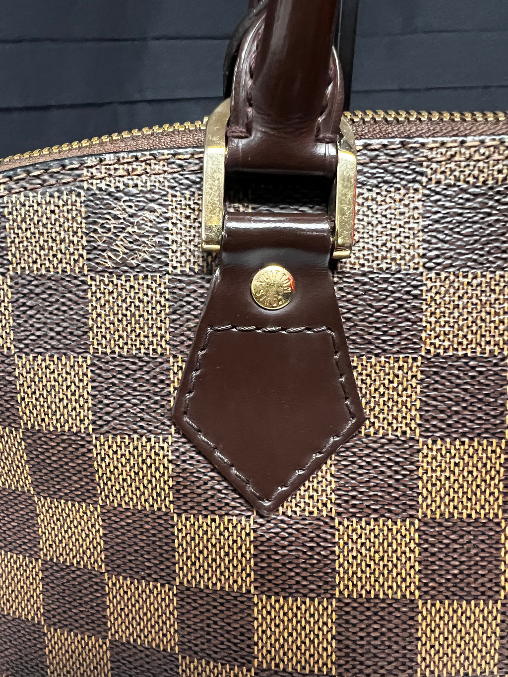 Louis Vuitton Damier Ebene Alma PM (2004)