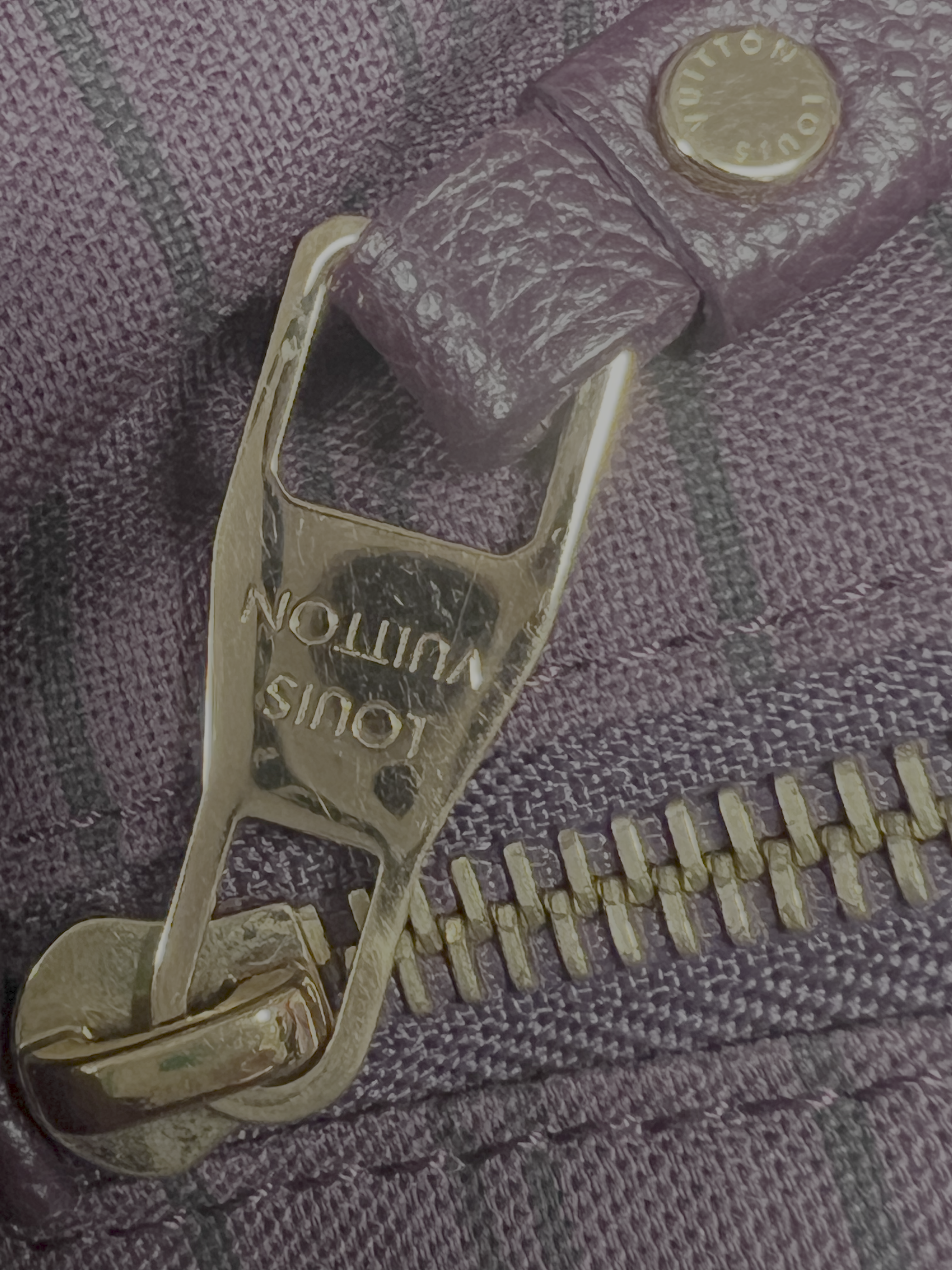Louis Vuitton Citadine PM (Aube) (Pre-Owned)